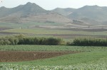 IL PRIMO STUDIO COI DATI DEL CENSIMENTO AGRICOLTURA DEL 2010