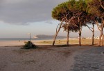 INTERROGAZIONE SULL’UFFICIO AMBIENTE DEL COMUNE DI CAGLIARI