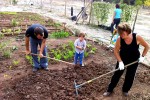 ORTI URBANI – UNA PROPOSTA