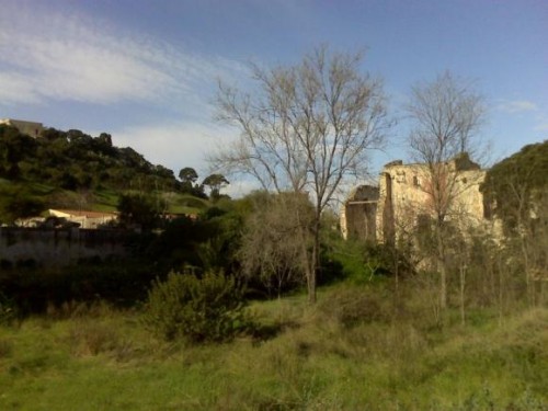 uid_12667f4159d.580.0