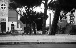 MIGLIORIAMO LE AREE VERDI DELLE CASE POPOLARI – UN ORDINE DEL GIORNO
