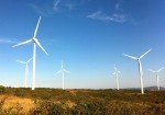 “Eolico, biomasse, fotovoltaico, metano: in Sardegna ci rubano la terra e la chiamano sostenibilità”: un intervento di Nicolò Migheli